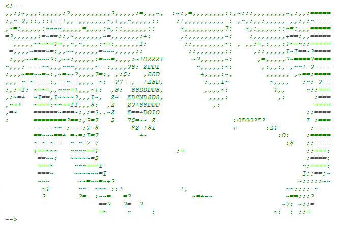 How Madoka Magica's website looked like when you view its source code.